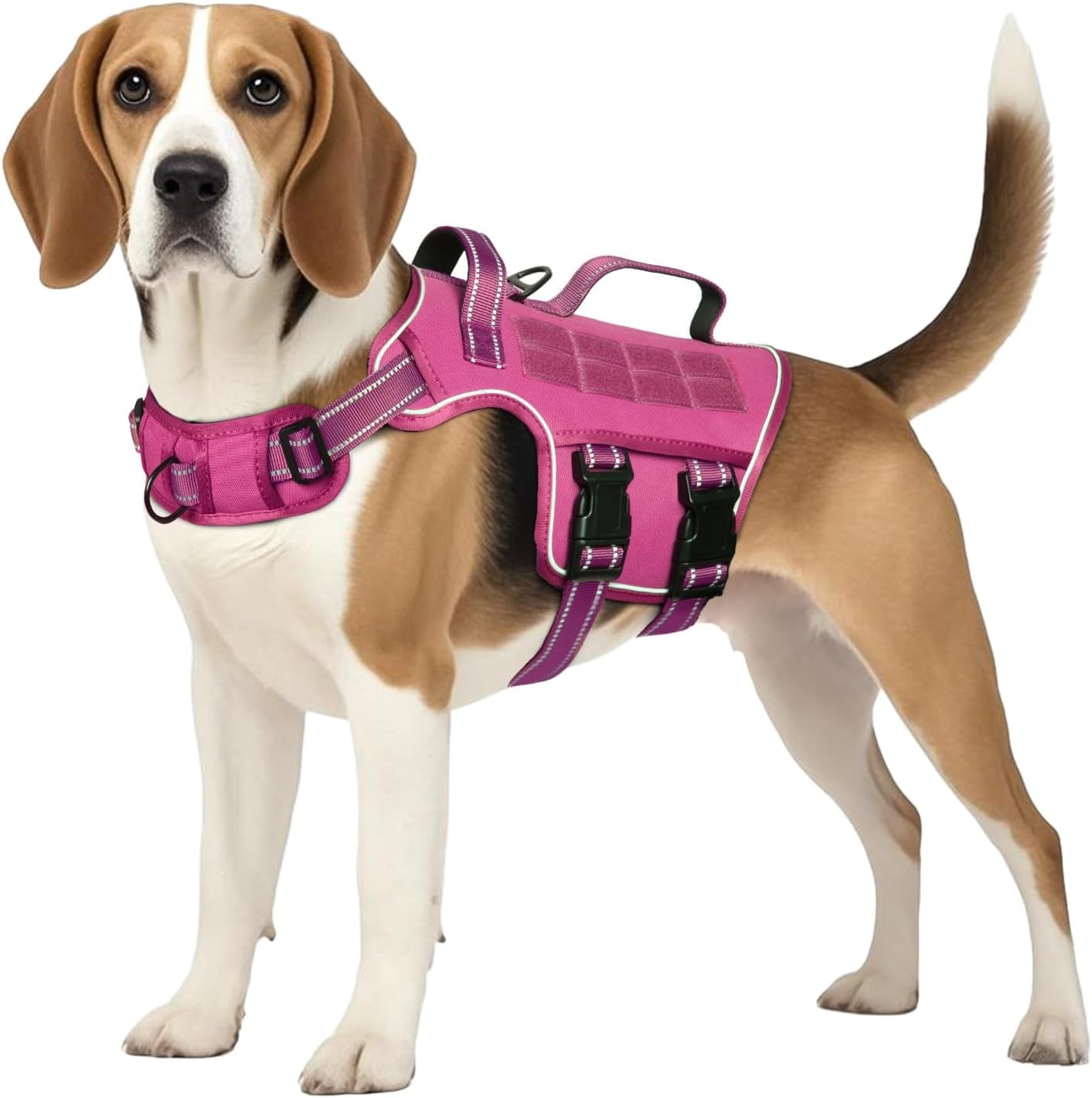 Trail Control No-Pull Adventure Harness – Tactical Edition
