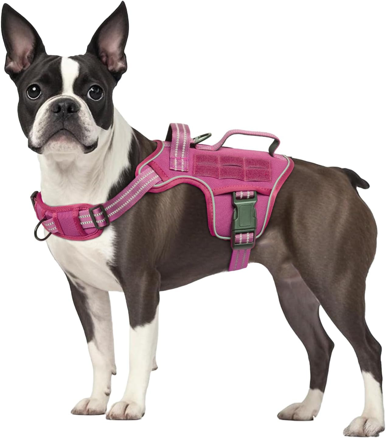 Trail Control No-Pull Adventure Harness – Tactical Edition