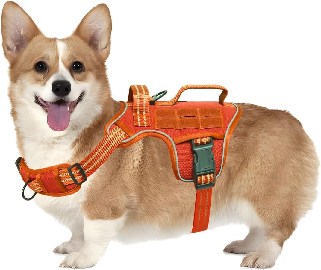 Trail Control No-Pull Adventure Harness – Tactical Edition