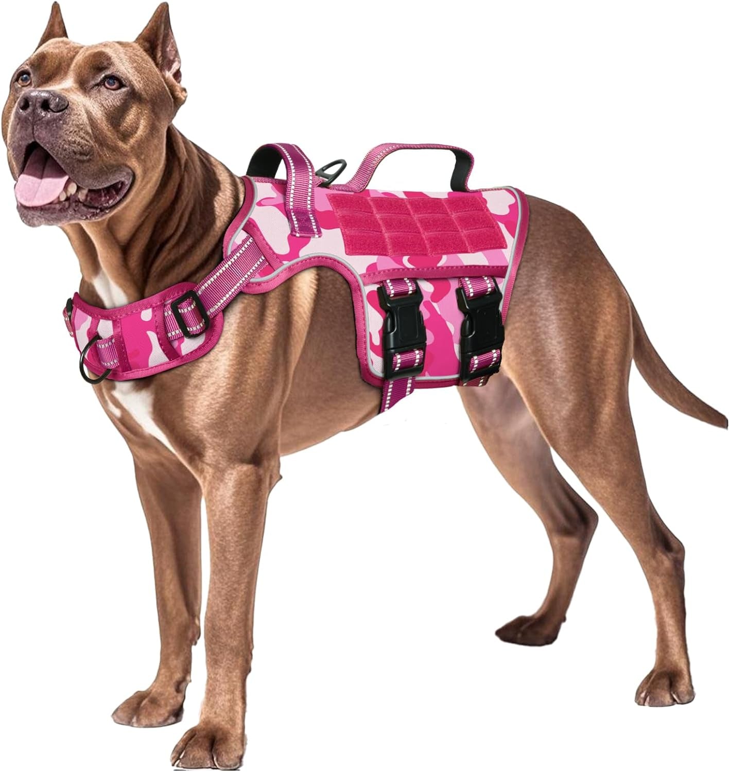 Trail Control No-Pull Adventure Harness – Tactical Edition