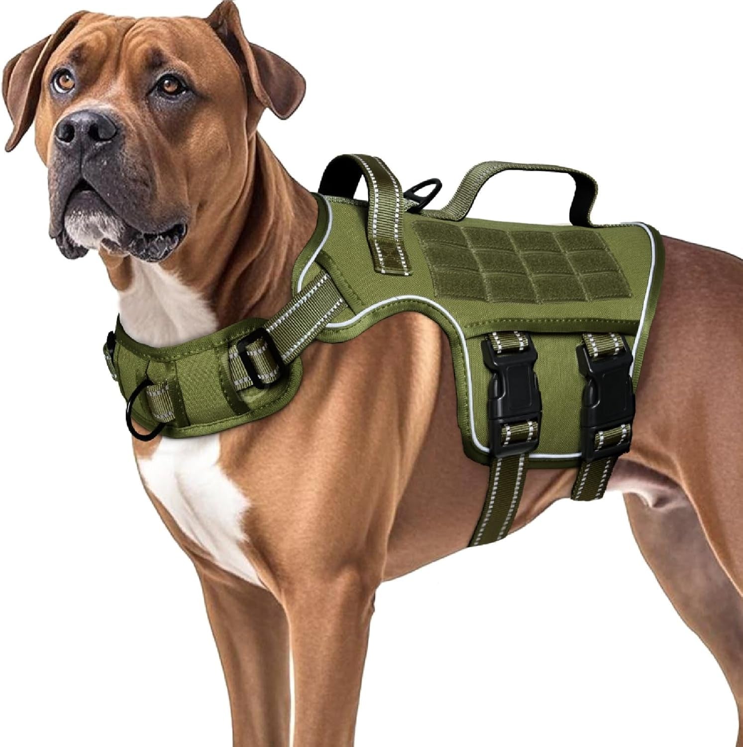 Trail Control No-Pull Adventure Harness – Tactical Edition
