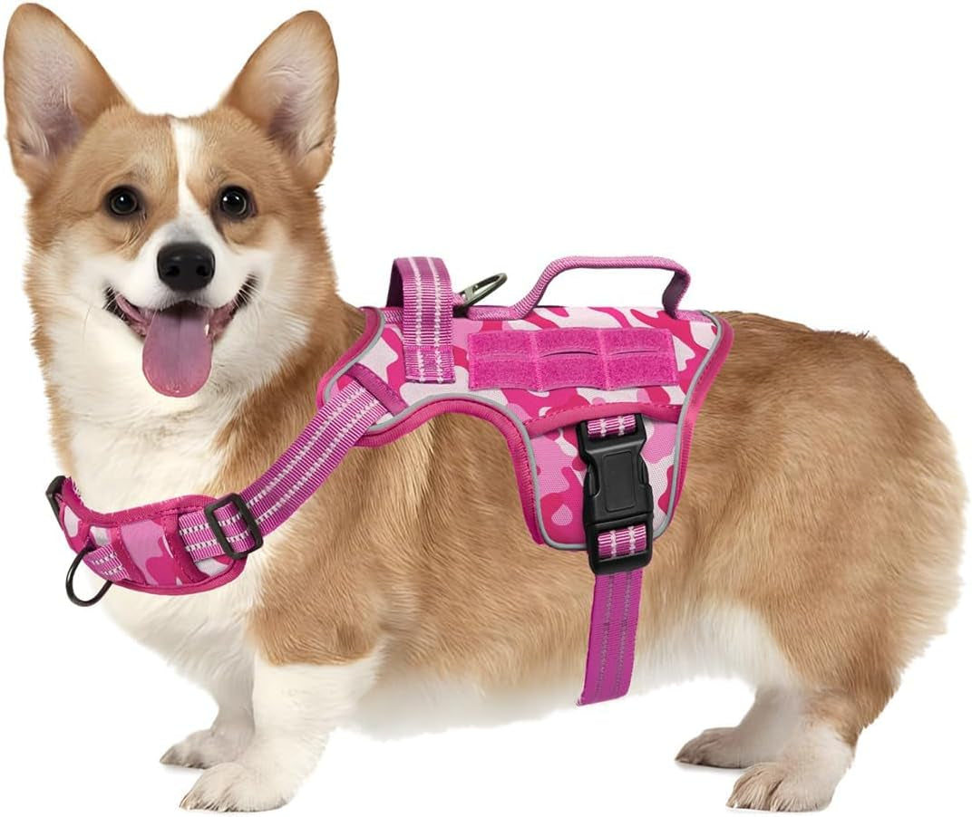 Trail Control No-Pull Adventure Harness – Tactical Edition