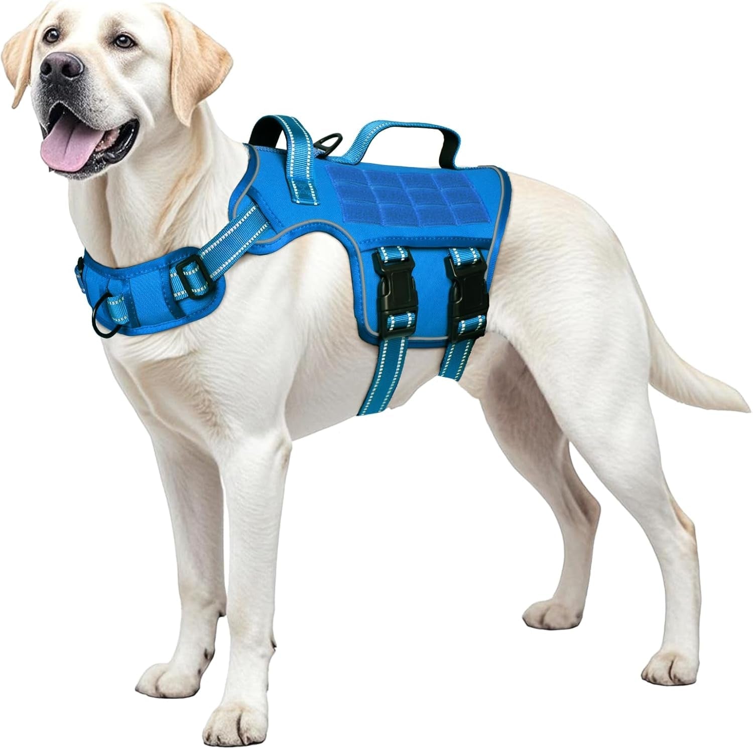 Trail Control No-Pull Adventure Harness – Tactical Edition