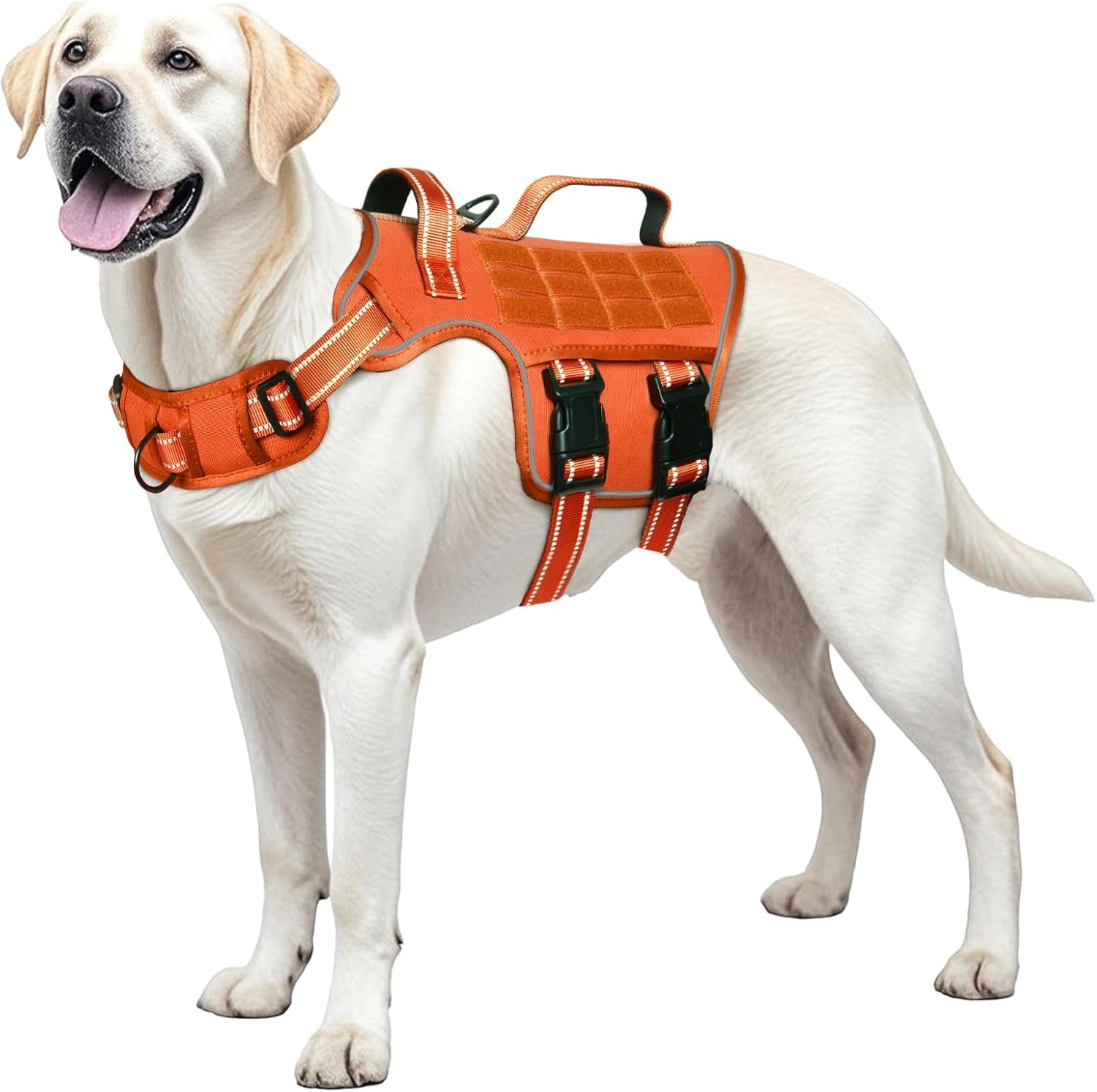 Trail Control No-Pull Adventure Harness – Tactical Edition