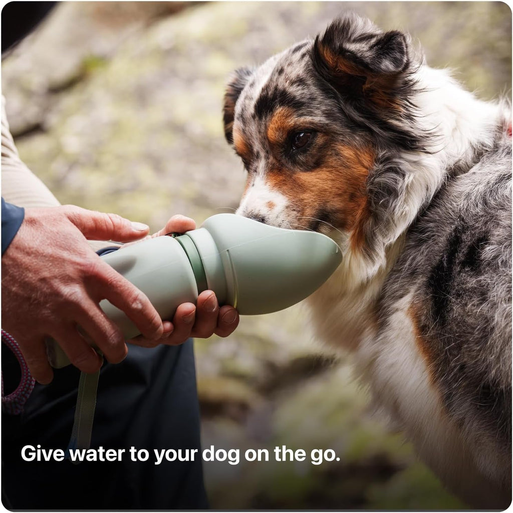 TrailSip Portable Water Bottle
