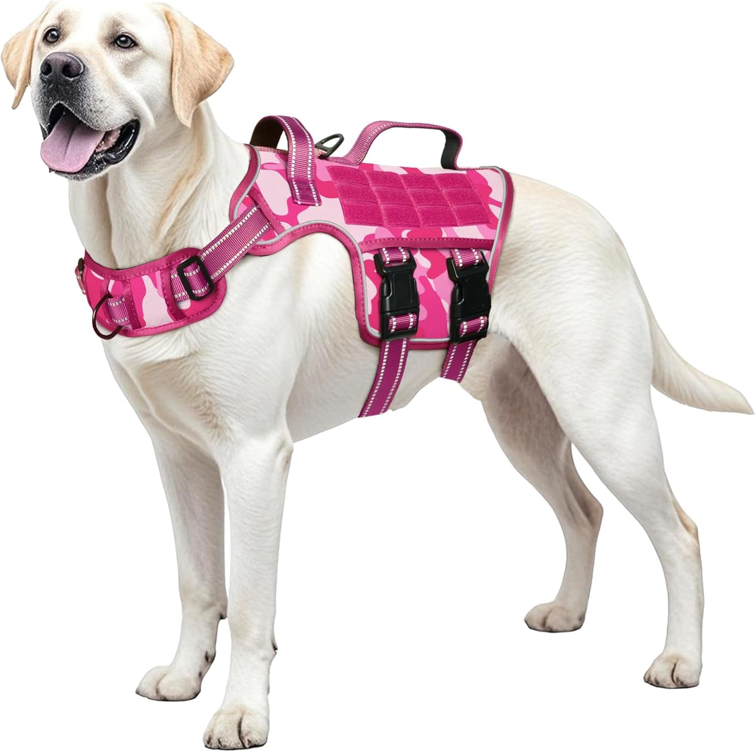 Trail Control No-Pull Adventure Harness – Tactical Edition