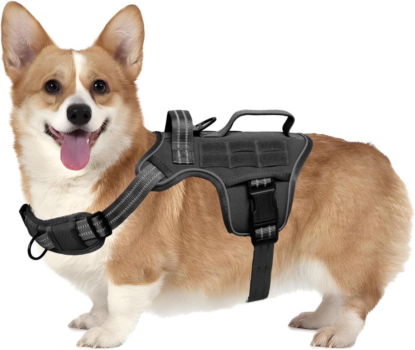Trail Control No-Pull Adventure Harness – Tactical Edition