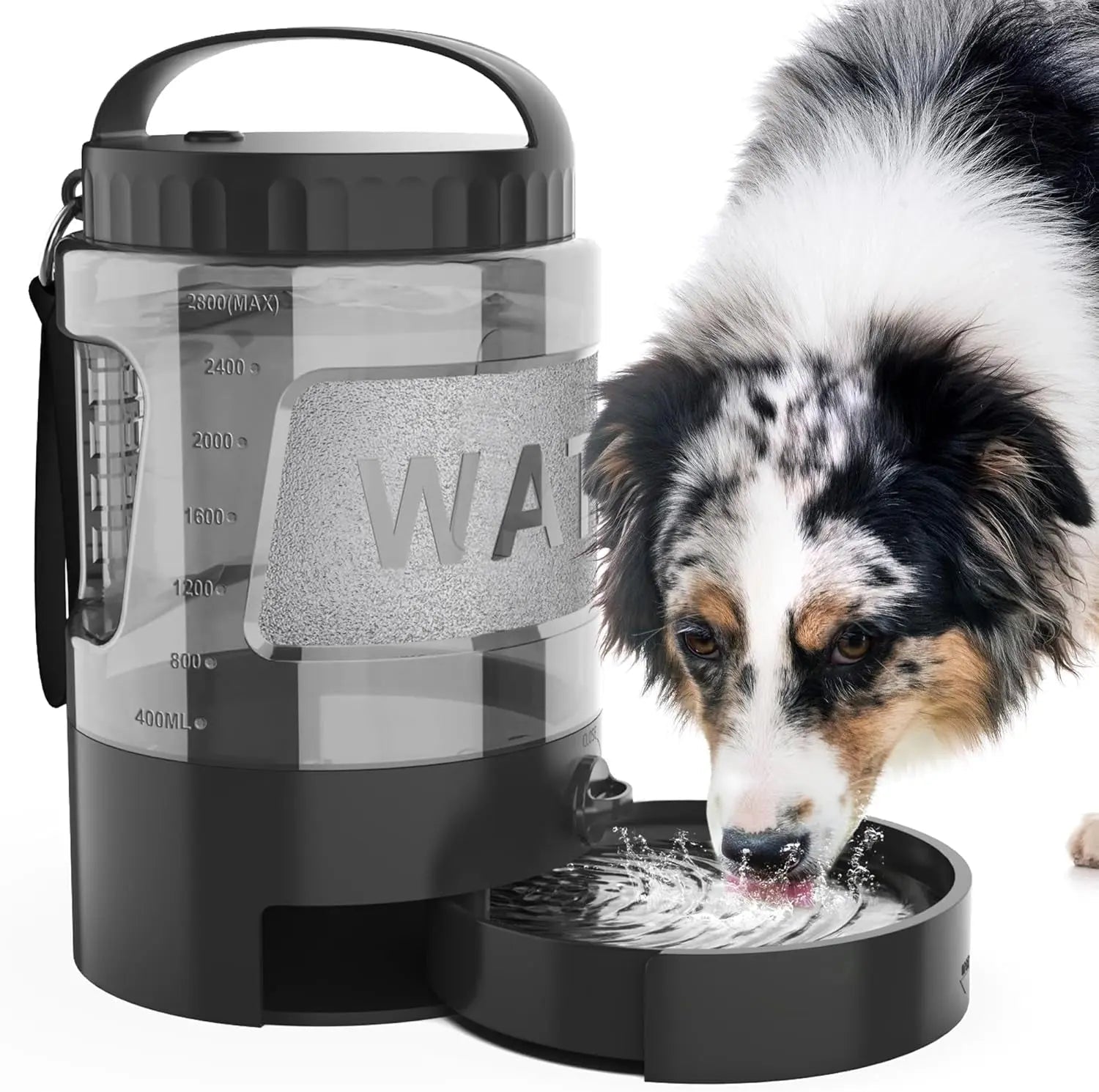 TrailTank Adventure Large Water Bottle
