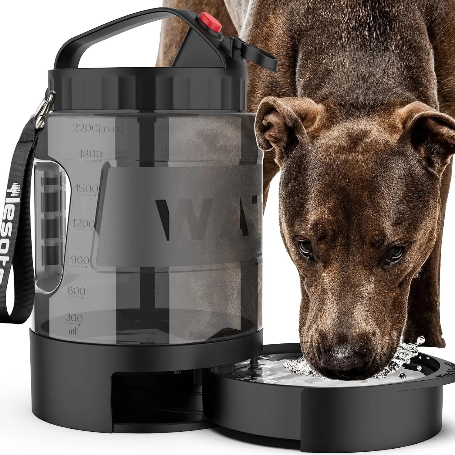 TrailTank Adventure Large Water Bottle