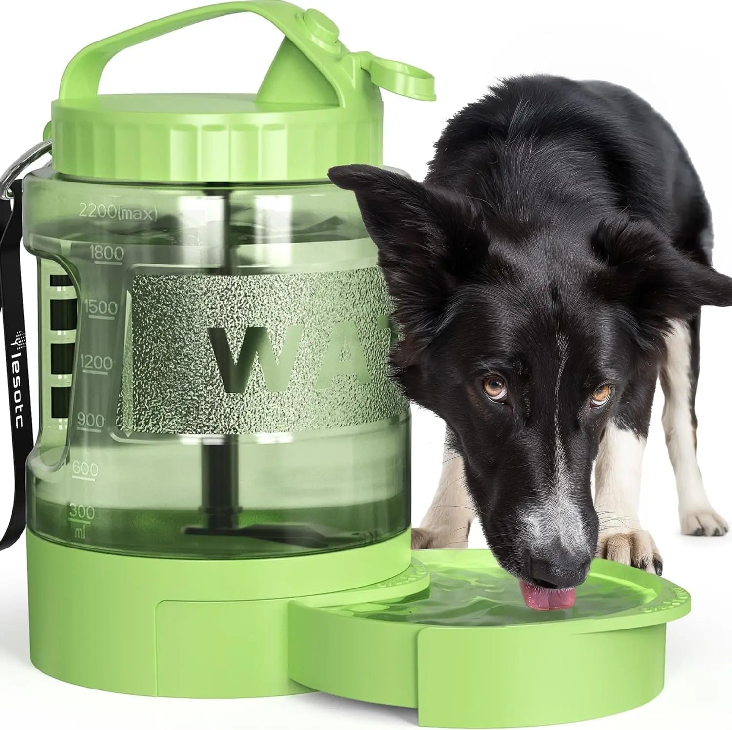 TrailTank Adventure Large Water Bottle