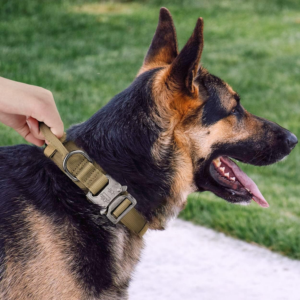 TrailControl Adventure Collar – Heavy-Duty 1.5” Edition