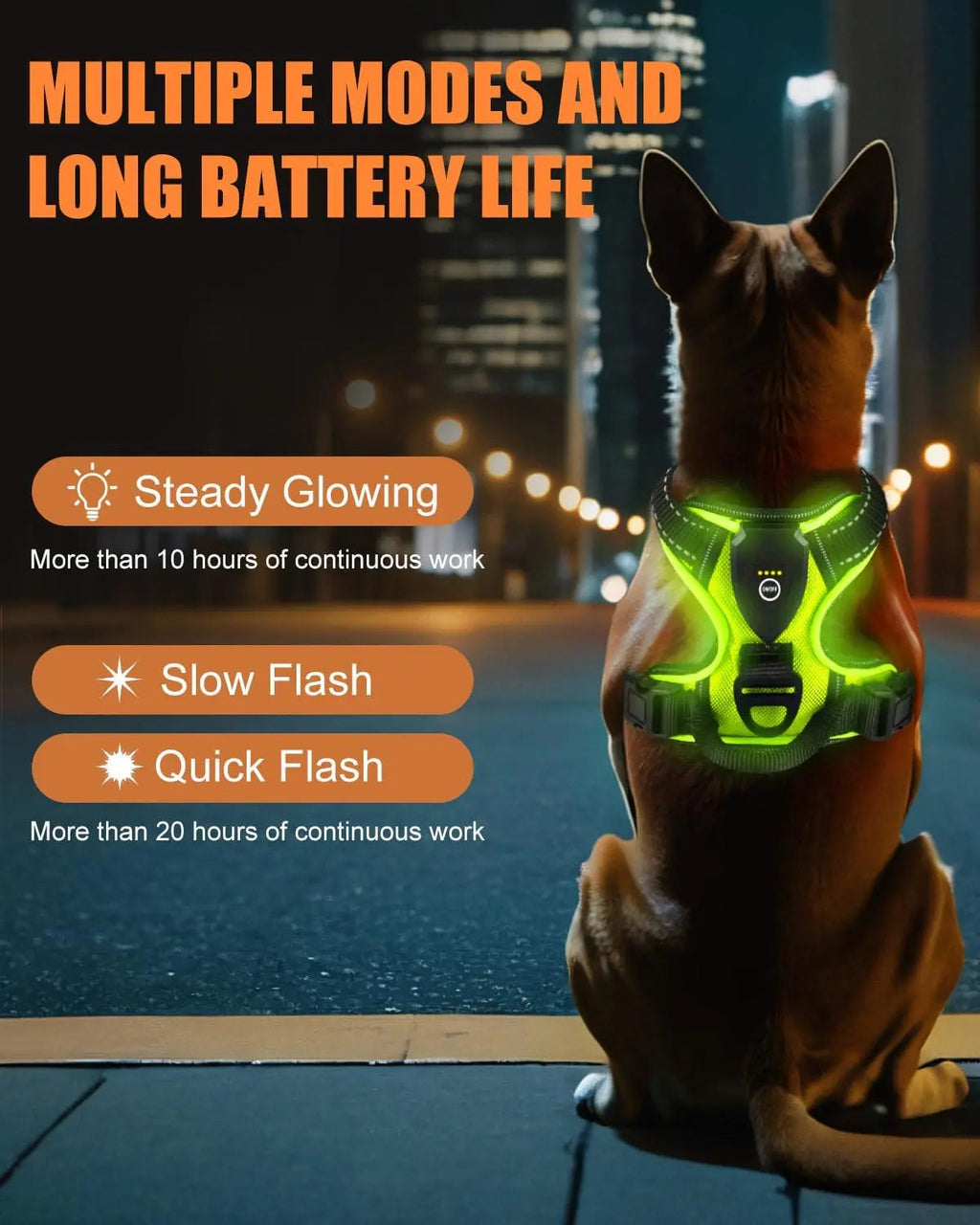TrailGlow LED Safety Harness