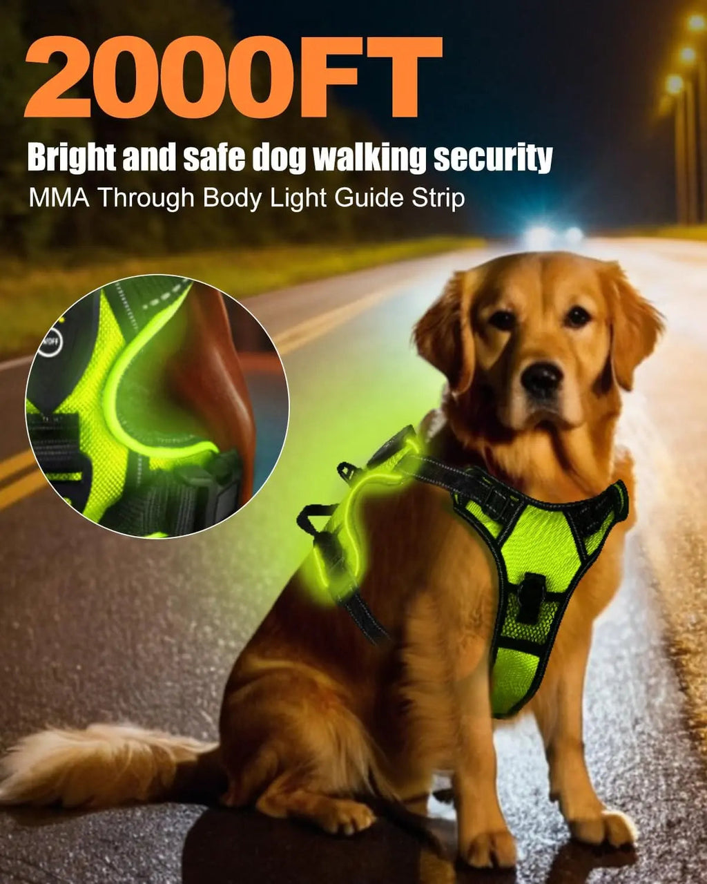 TrailGlow LED Safety Harness