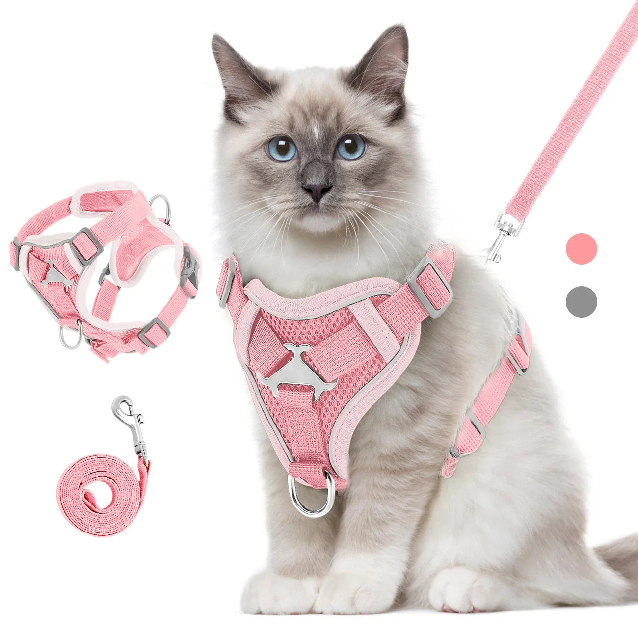TrailCat Adventure Harness & Leash Set