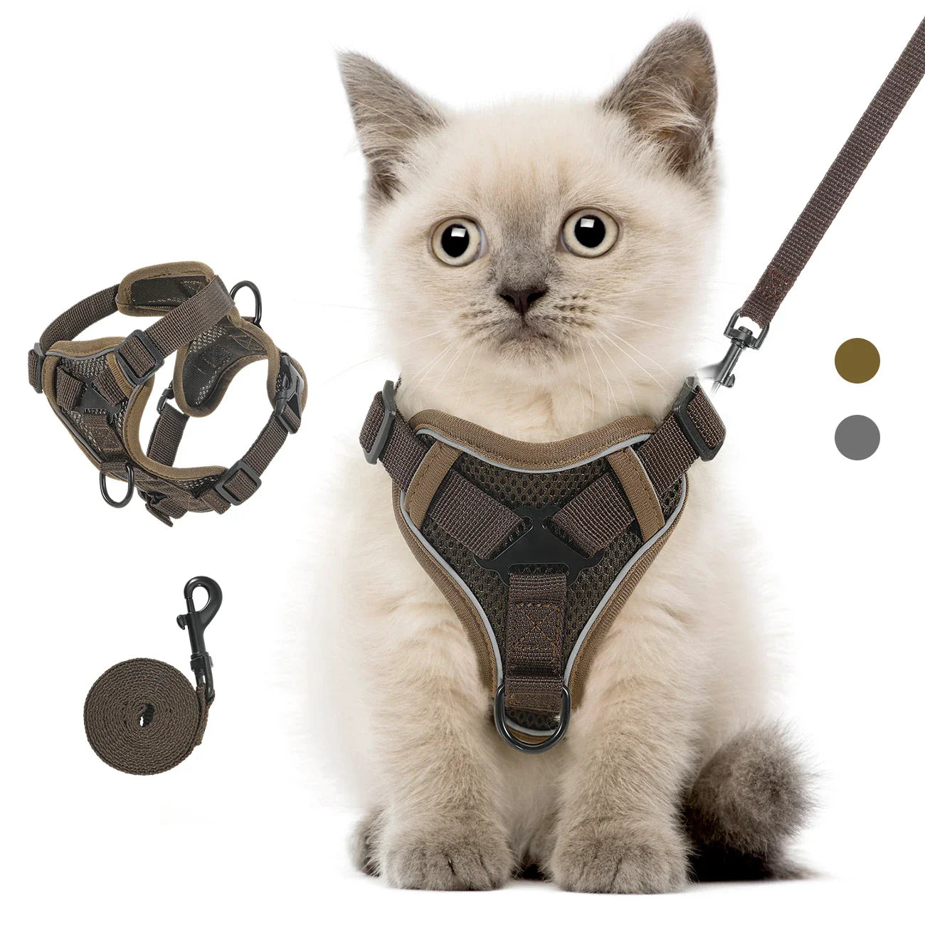 TrailCat Adventure Harness & Leash Set