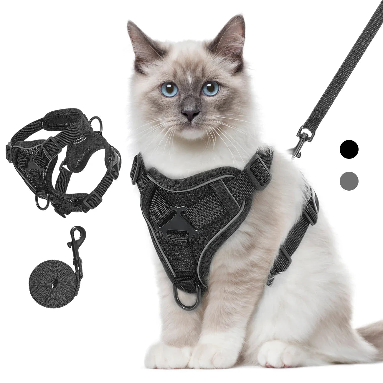 TrailCat Adventure Harness & Leash Set