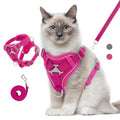 TrailCat Adventure Harness & Leash Set