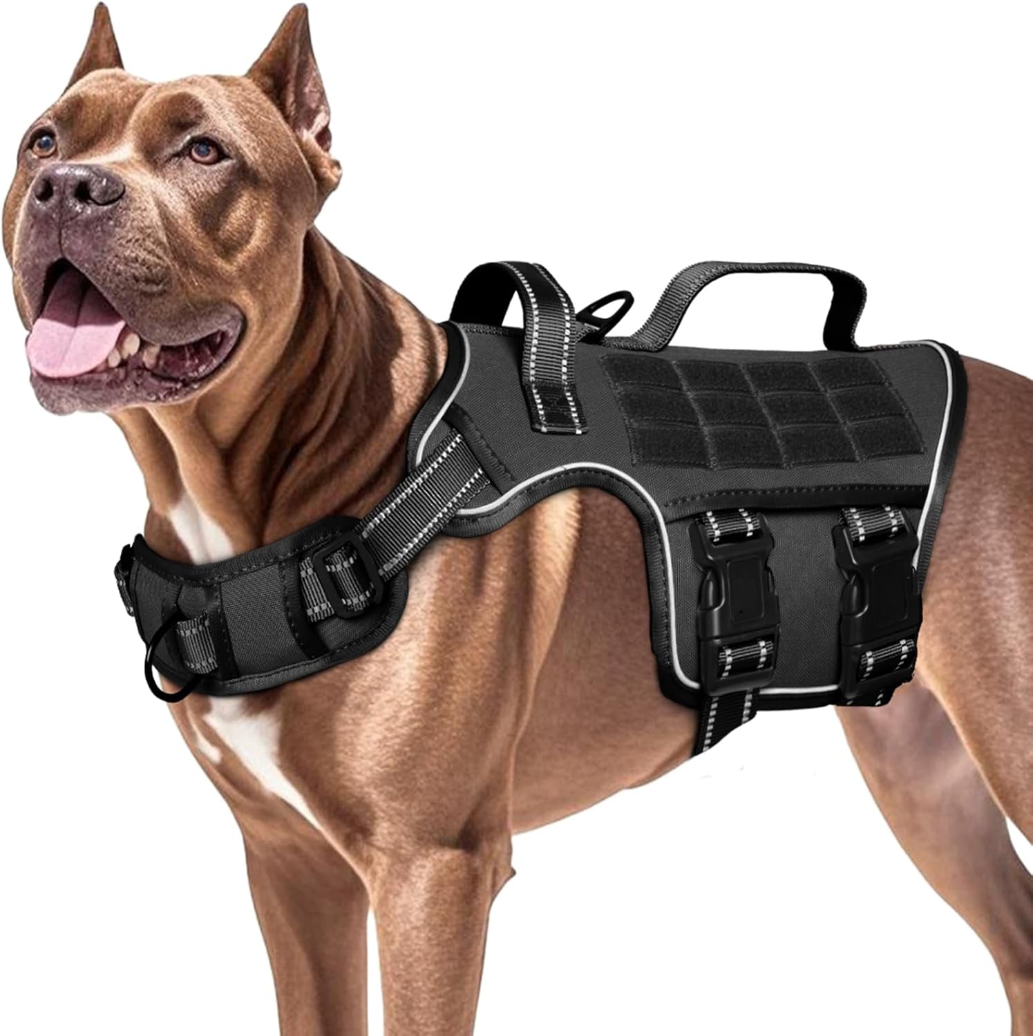 Trail Control No-Pull Adventure Harness – Tactical Edition