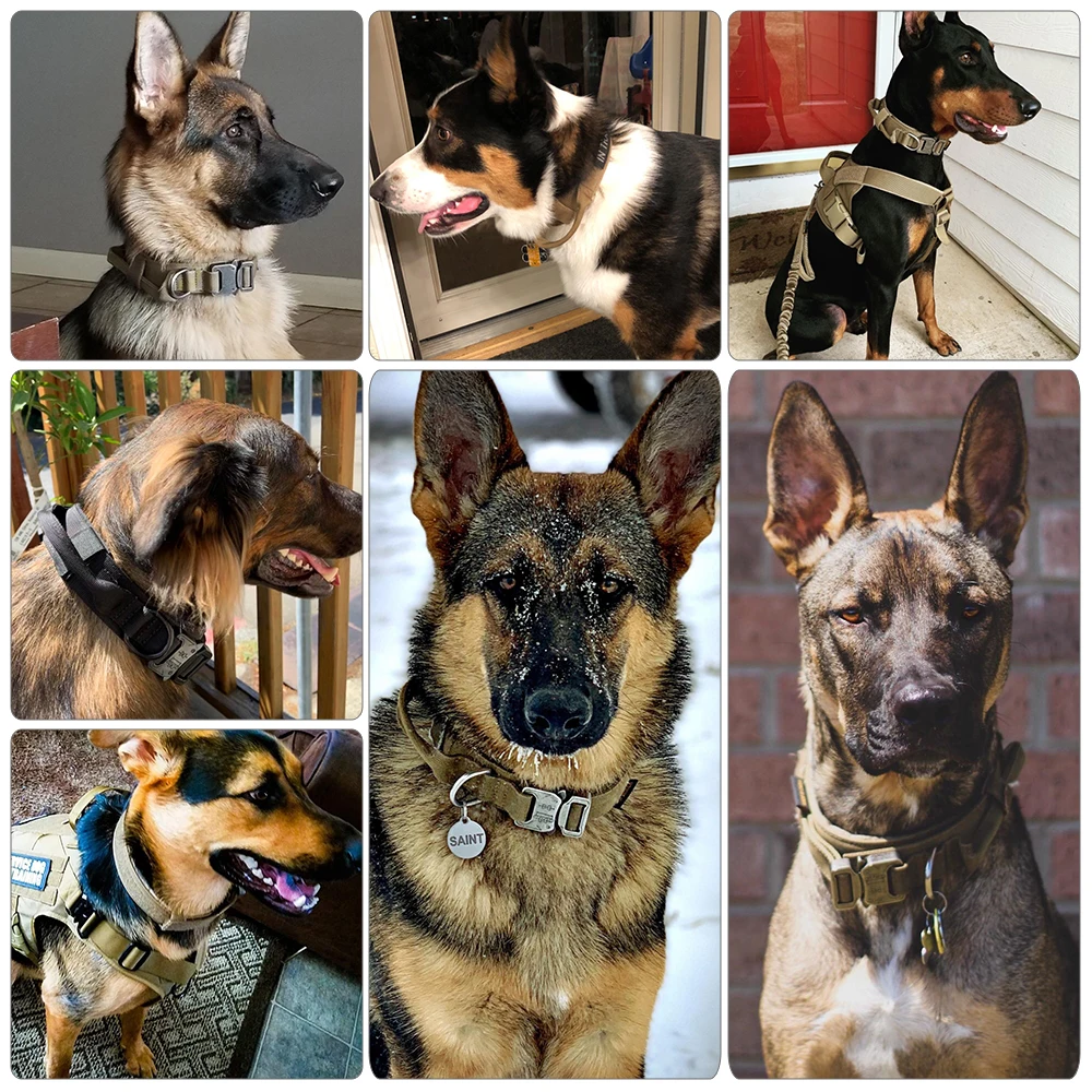 TrailControl Adventure Collar – Heavy-Duty 1.5” Edition