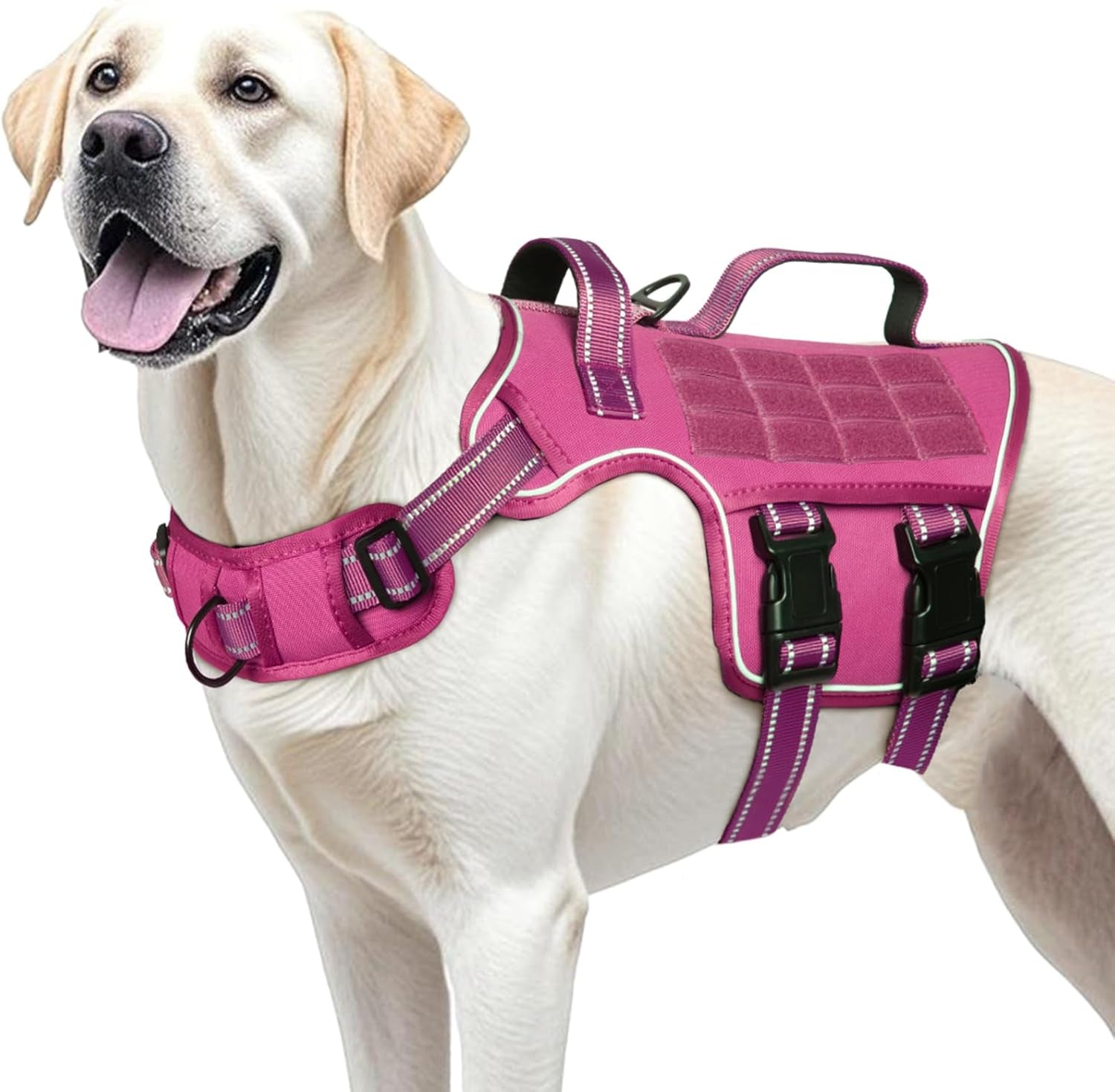 Trail Control No-Pull Adventure Harness – Tactical Edition