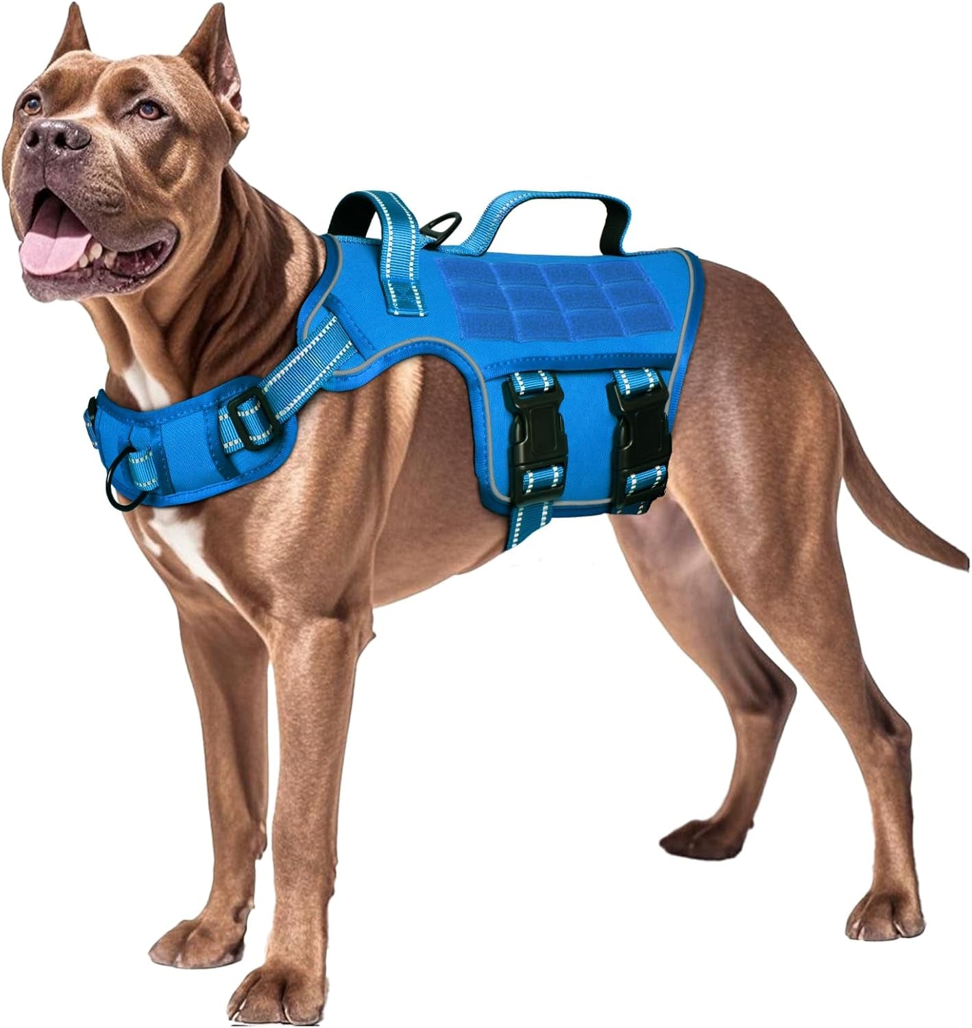 Trail Control No-Pull Adventure Harness – Tactical Edition