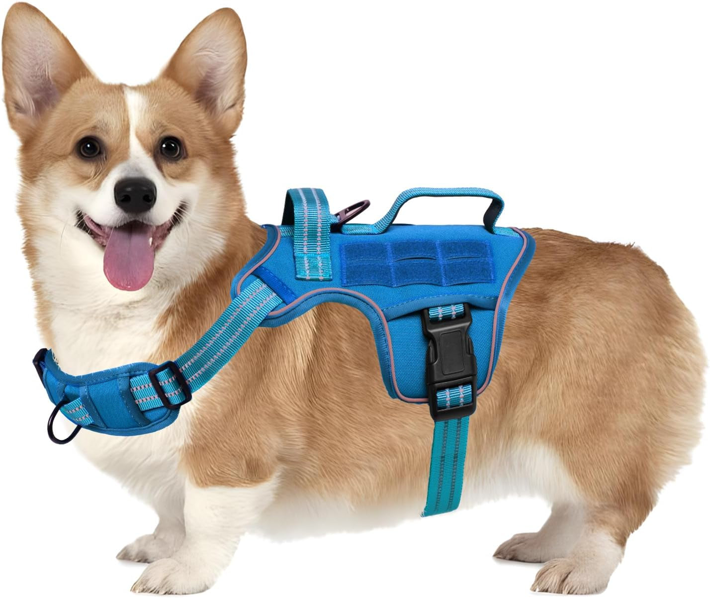 Trail Control No-Pull Adventure Harness – Tactical Edition