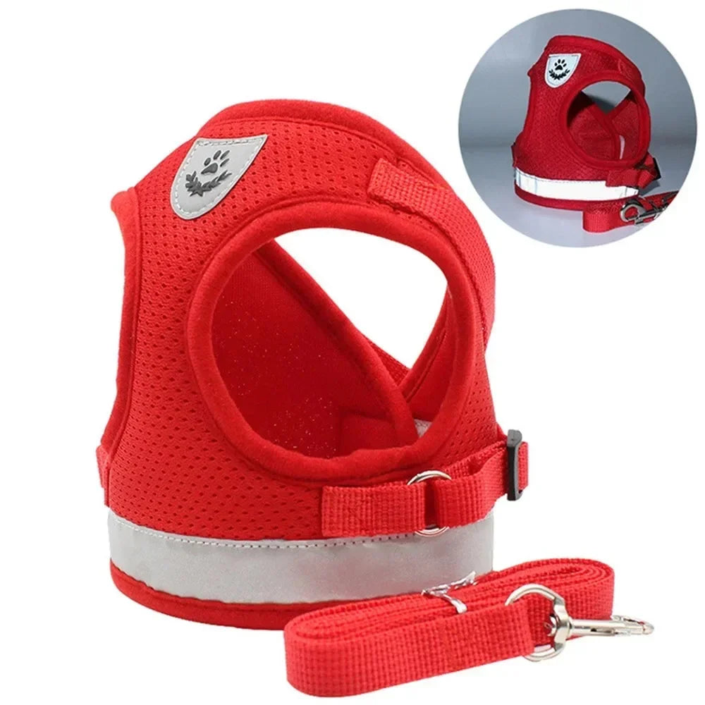 TrailGlow Reflective Cat Adventure Harness