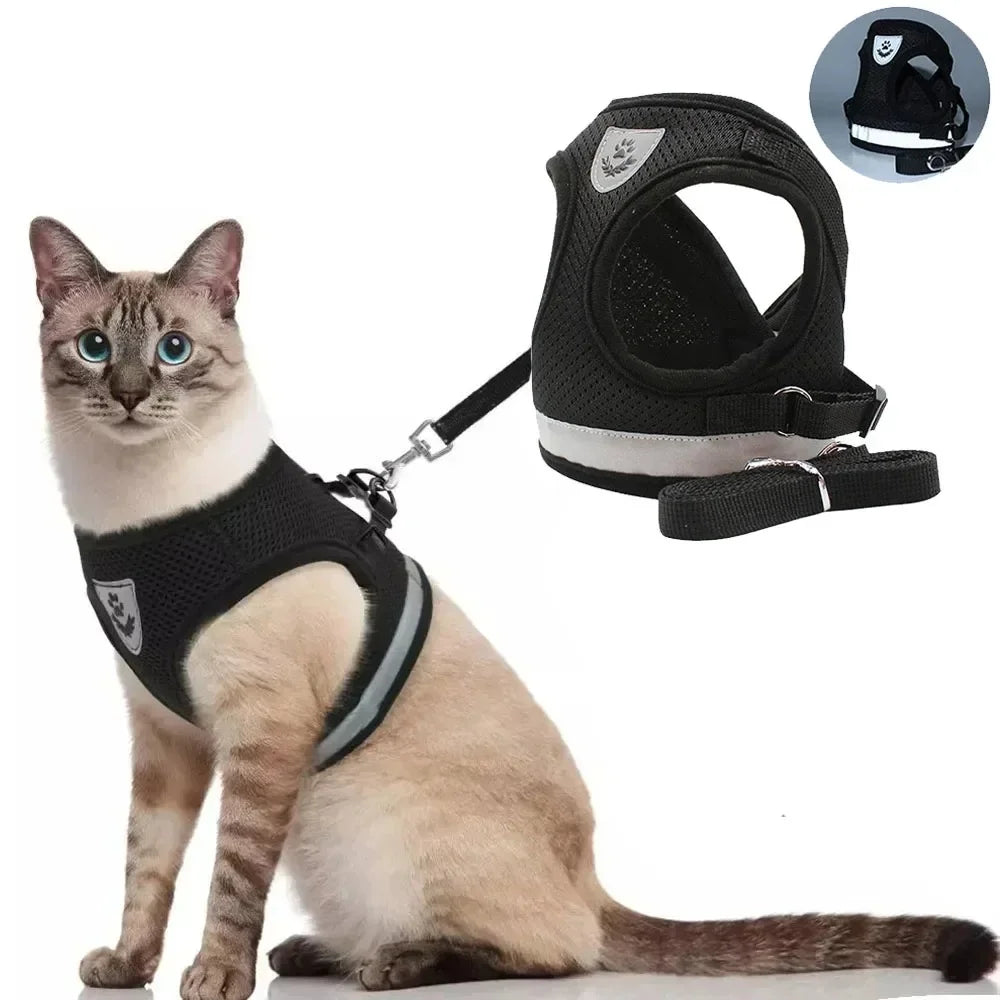 TrailGlow Reflective Cat Adventure Harness