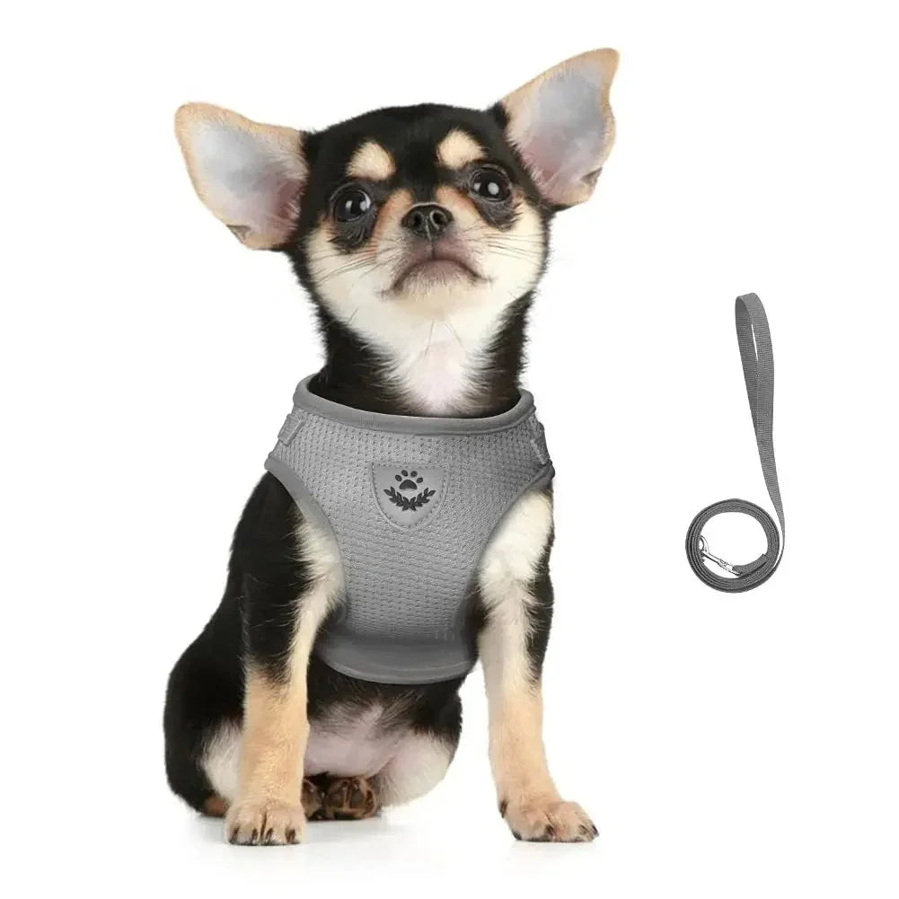 TrailGlow Reflective Cat Adventure Harness