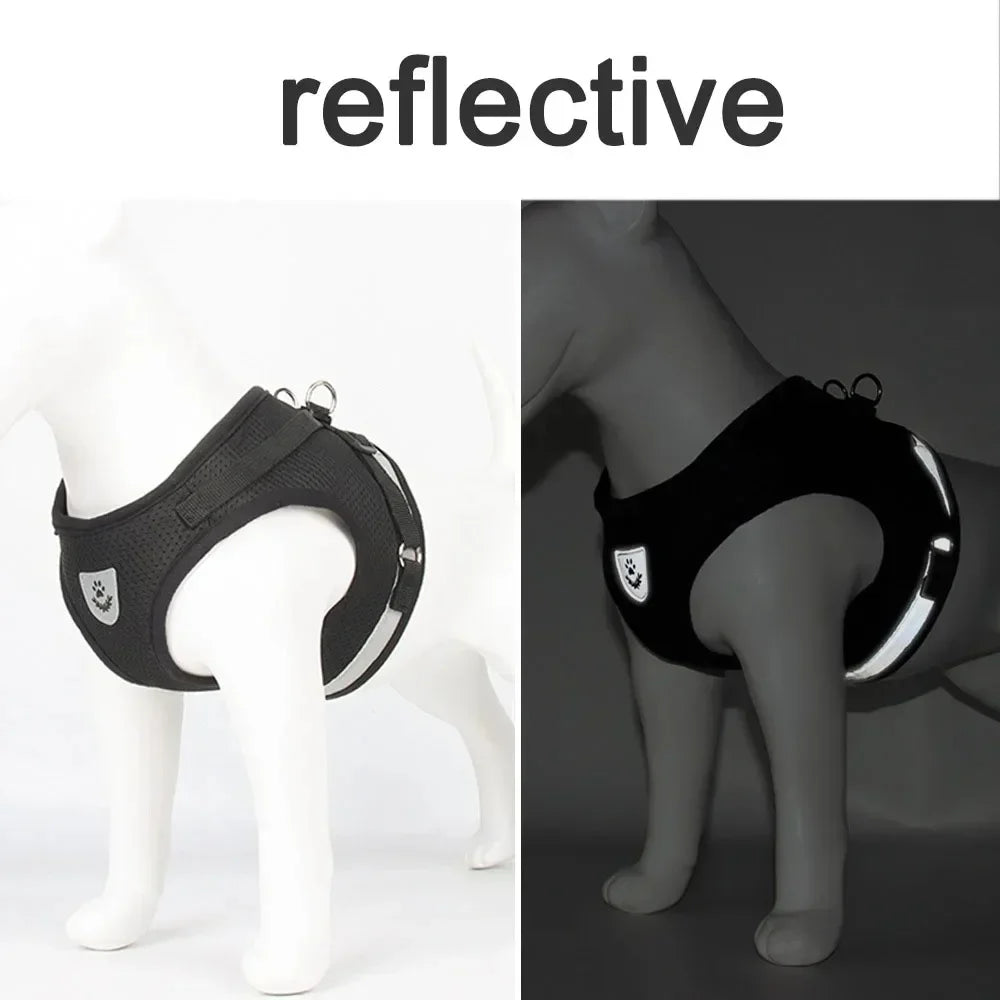 TrailGlow Reflective Cat Adventure Harness