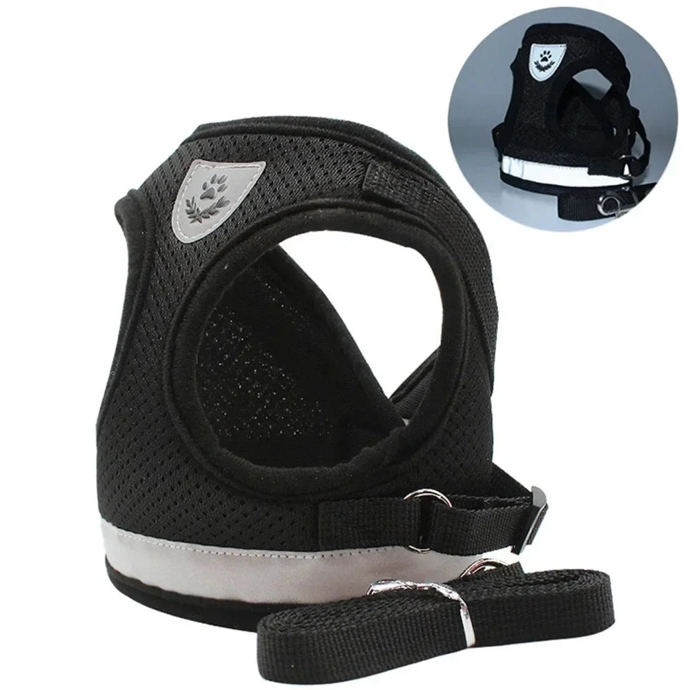 TrailGlow Reflective Cat Adventure Harness
