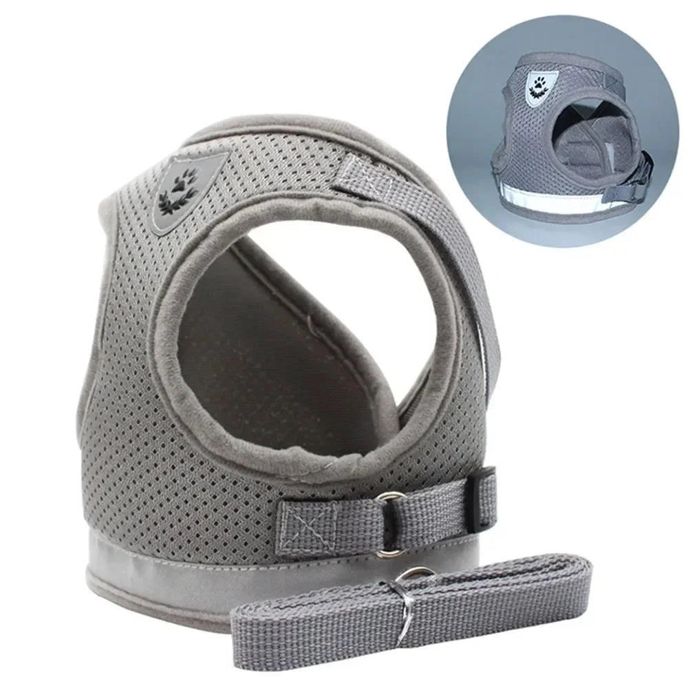 TrailGlow Reflective Cat Adventure Harness